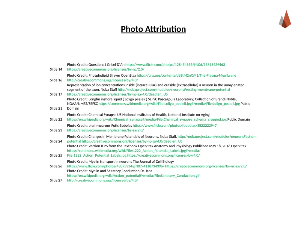 Neurons [Professor Name] [Class and Section - slide 36 of 37