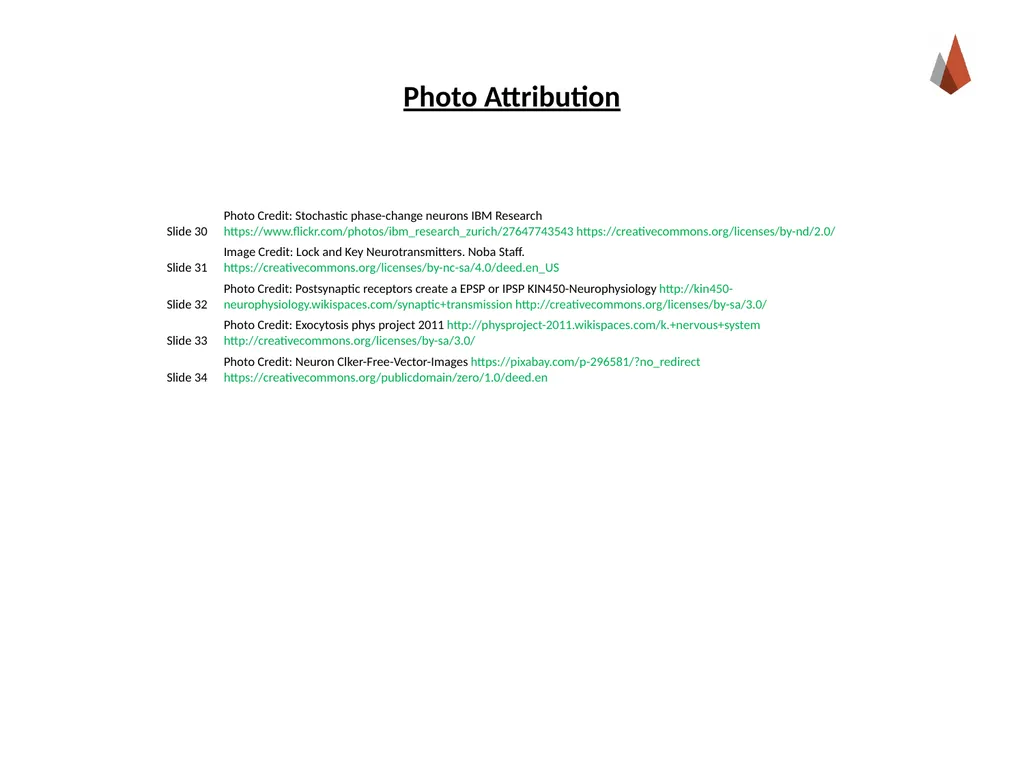 Neurons [Professor Name] [Class and Section - slide 37 of 37