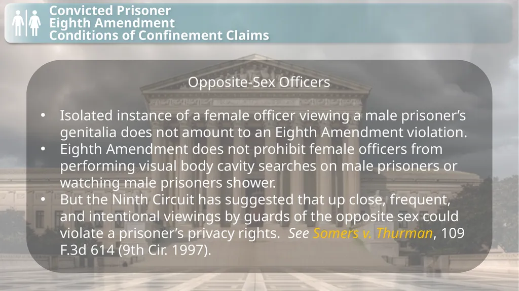 Substantive Law in Pretrial Detainee and Prisoner - slide 30 of 79