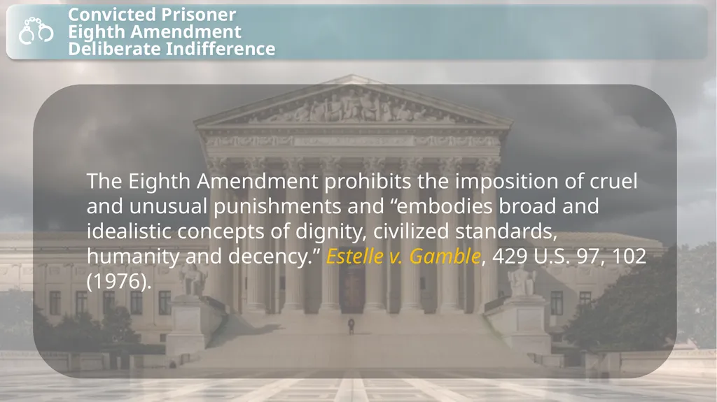 Substantive Law in Pretrial Detainee and Prisoner - slide 16 of 79