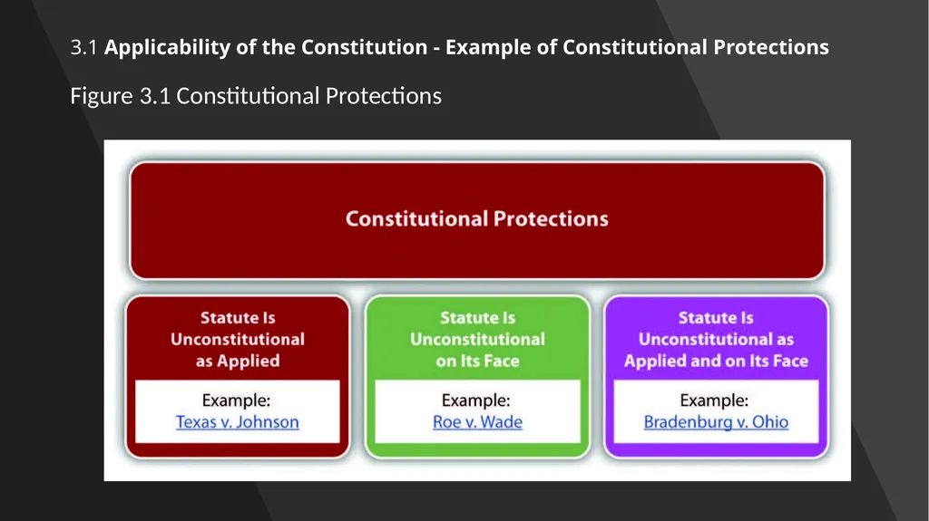 Chapter 3: Constitutional Protections Those who - slide 11 of 67
