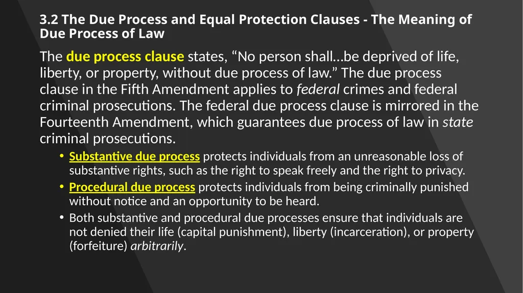 Chapter 3: Constitutional Protections Those who - slide 25 of 67