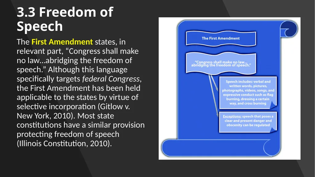 Chapter 3: Constitutional Protections Those who - slide 32 of 67