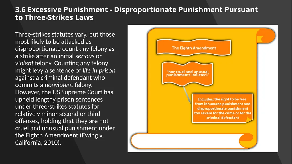 Chapter 3: Constitutional Protections Those who - slide 63 of 67