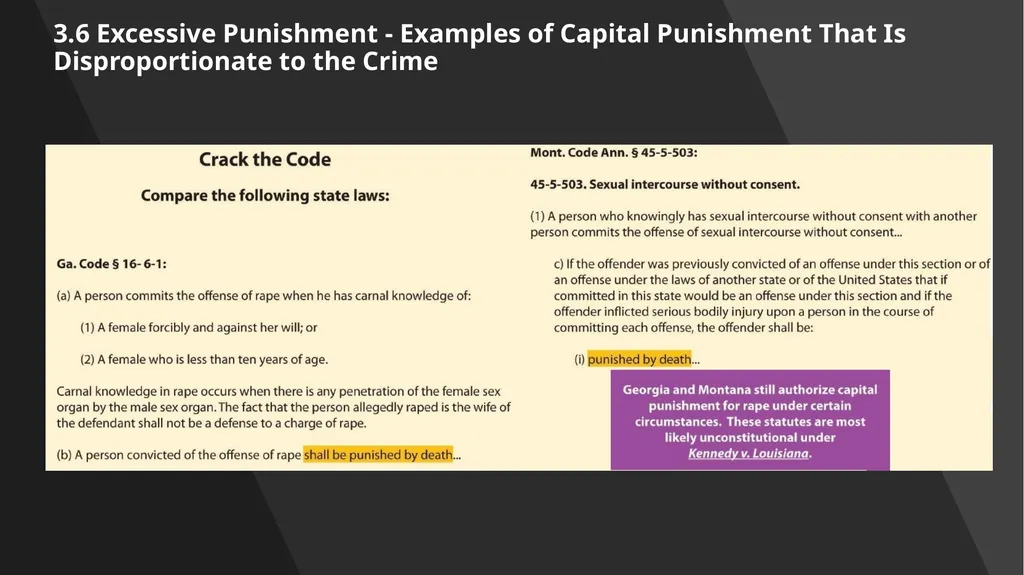 Chapter 3: Constitutional Protections Those who - slide 59 of 67