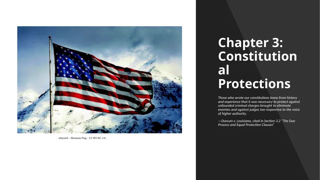Chapter 3: Constitutional Protections Those who - slide 1 of 67