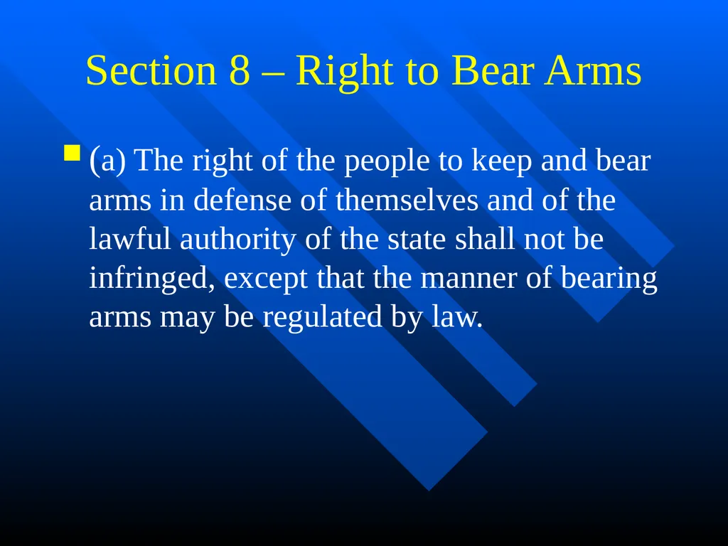 Florida Constitutional Law: Cases in Context - slide 39 of 80