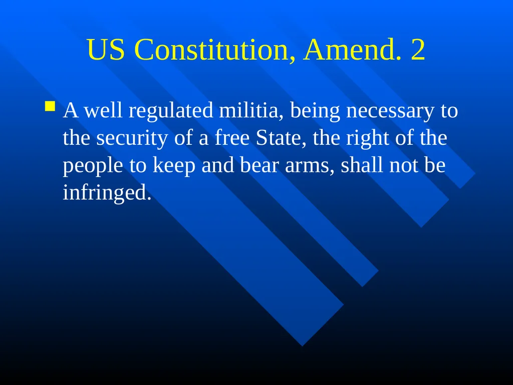 Florida Constitutional Law: Cases in Context - slide 40 of 80