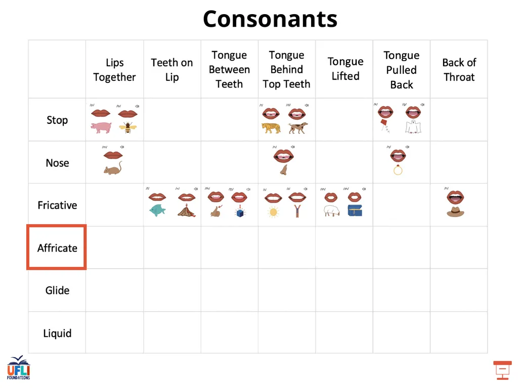 Getting Ready Lesson D Consonants Consonants - slide 18 of 34