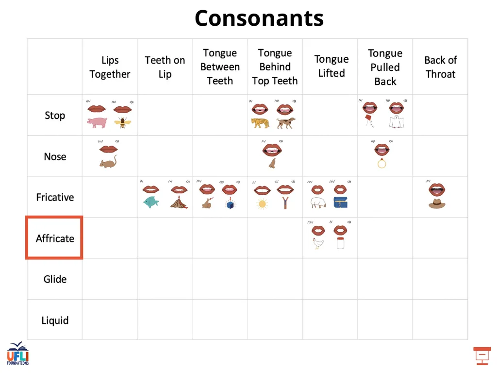 Getting Ready Lesson D Consonants Consonants - slide 20 of 34