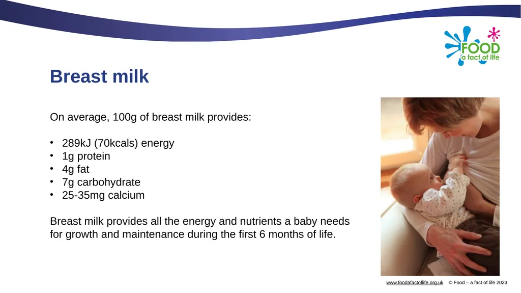 Nutritional needs through life The key stages in - slide 12 of 40