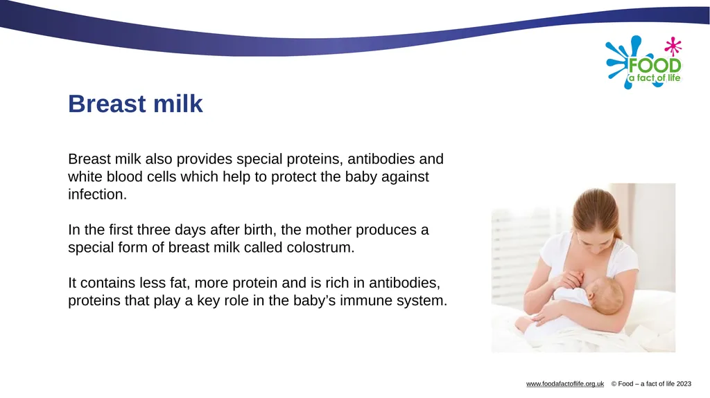 Nutritional needs through life The key stages in - slide 13 of 40