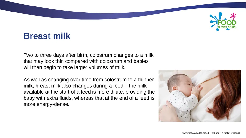 Nutritional needs through life The key stages in - slide 14 of 40