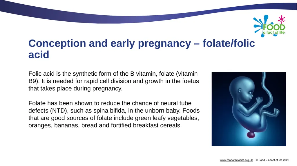 Nutritional needs through life The key stages in - slide 4 of 40