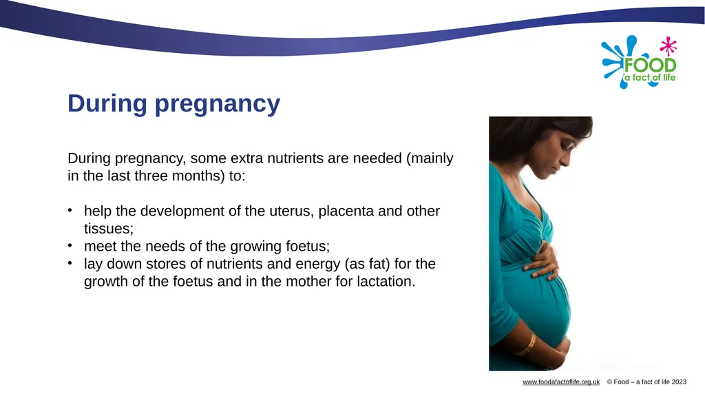 Nutritional needs through life The key stages in - slide 6 of 40