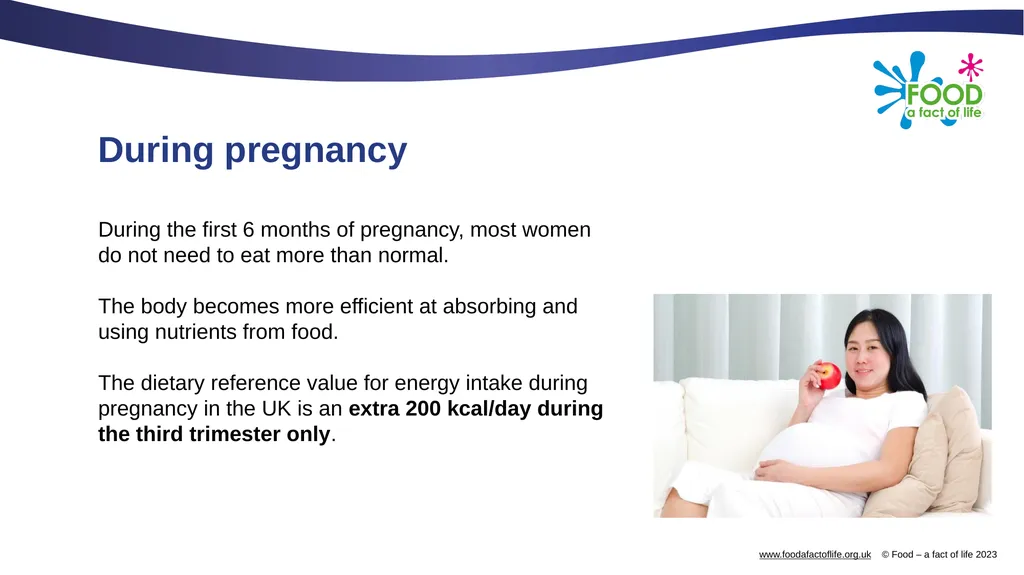 Nutritional needs through life The key stages in - slide 7 of 40