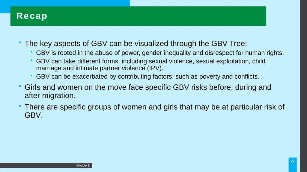 MODULE Introduction to gender-based violence (GBV) - slide 27 of 44