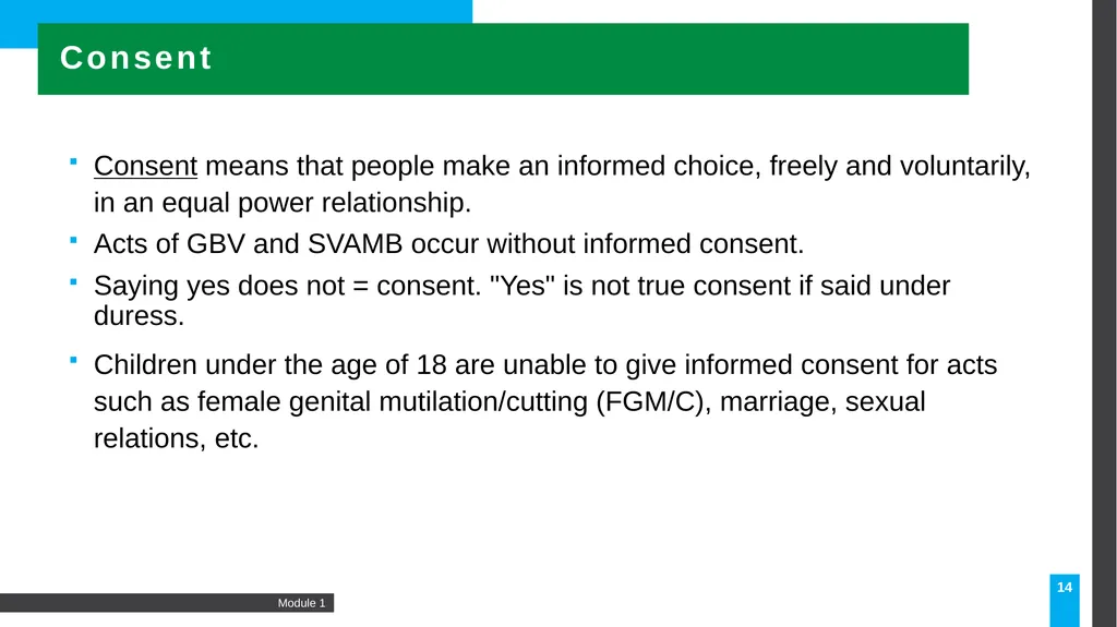 MODULE Introduction to gender-based violence (GBV) - slide 14 of 44