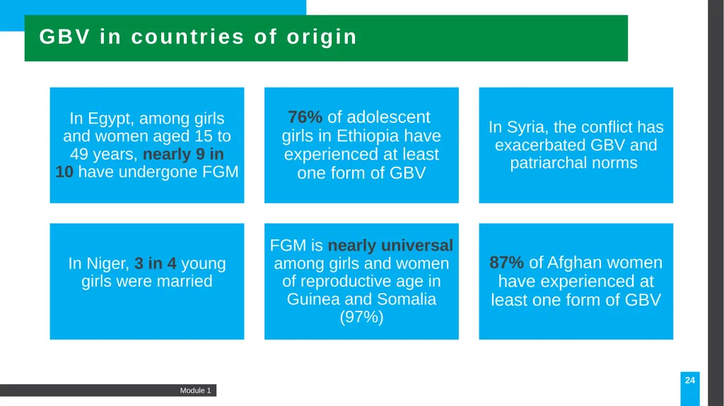 MODULE Introduction to gender-based violence (GBV) - slide 24 of 44