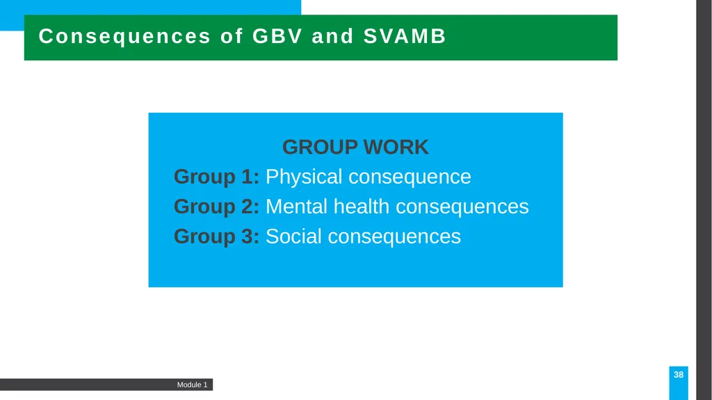 MODULE Introduction to gender-based violence (GBV) - slide 38 of 44
