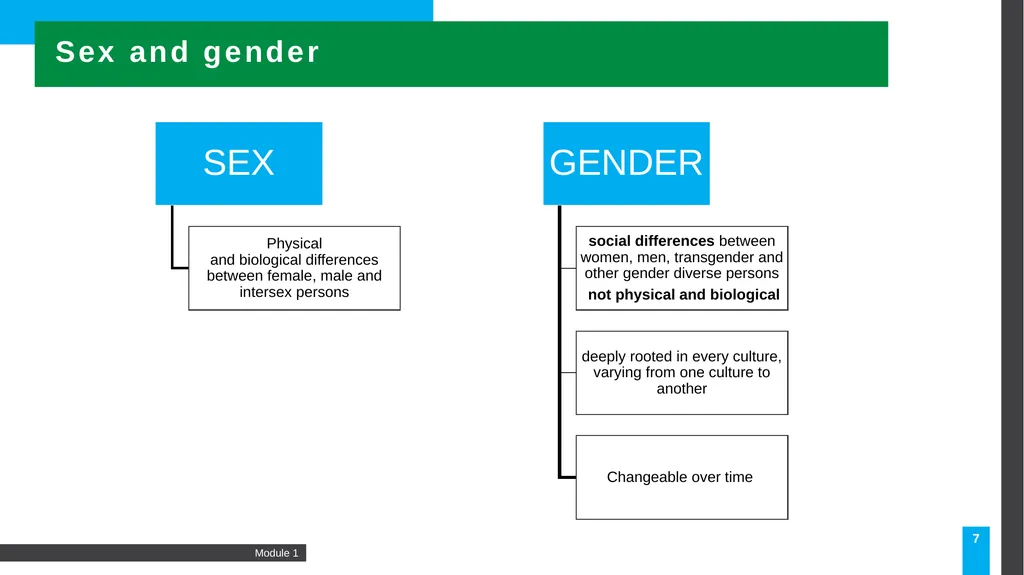 MODULE Introduction to gender-based violence (GBV) - slide 7 of 44