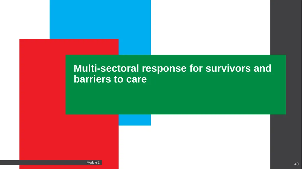 MODULE Introduction to gender-based violence (GBV) - slide 40 of 44