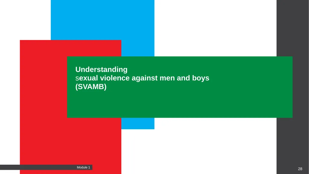 MODULE Introduction to gender-based violence (GBV) - slide 28 of 44