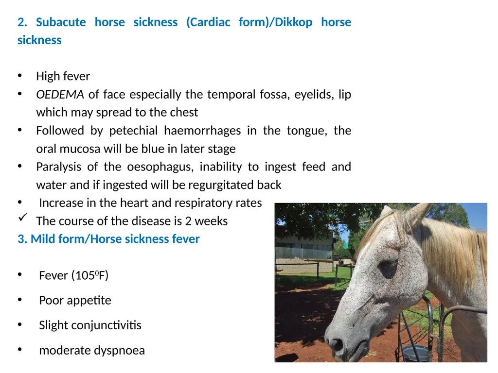 African Horse Sickness (Equine Plague) Dr - slide 4 of 16