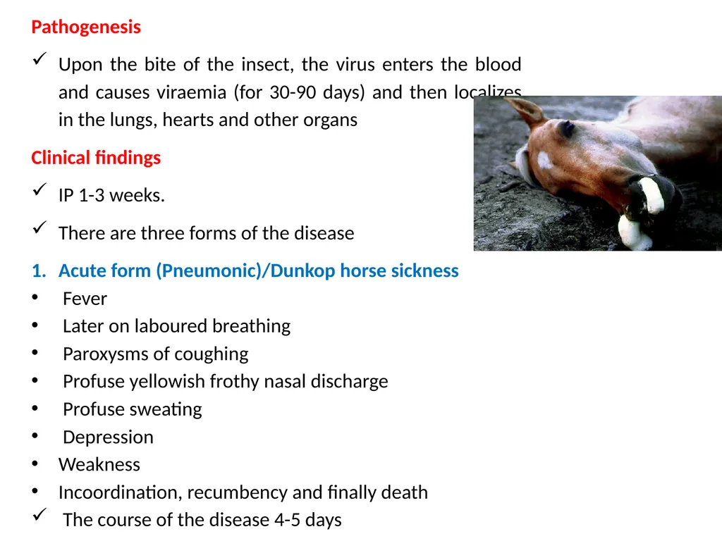African Horse Sickness (Equine Plague) Dr - slide 3 of 16