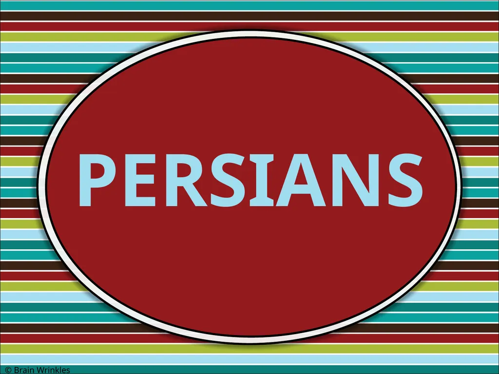 ETHNIC GROUPS Presentation, Graphic Organizers, & - slide 24 of 50