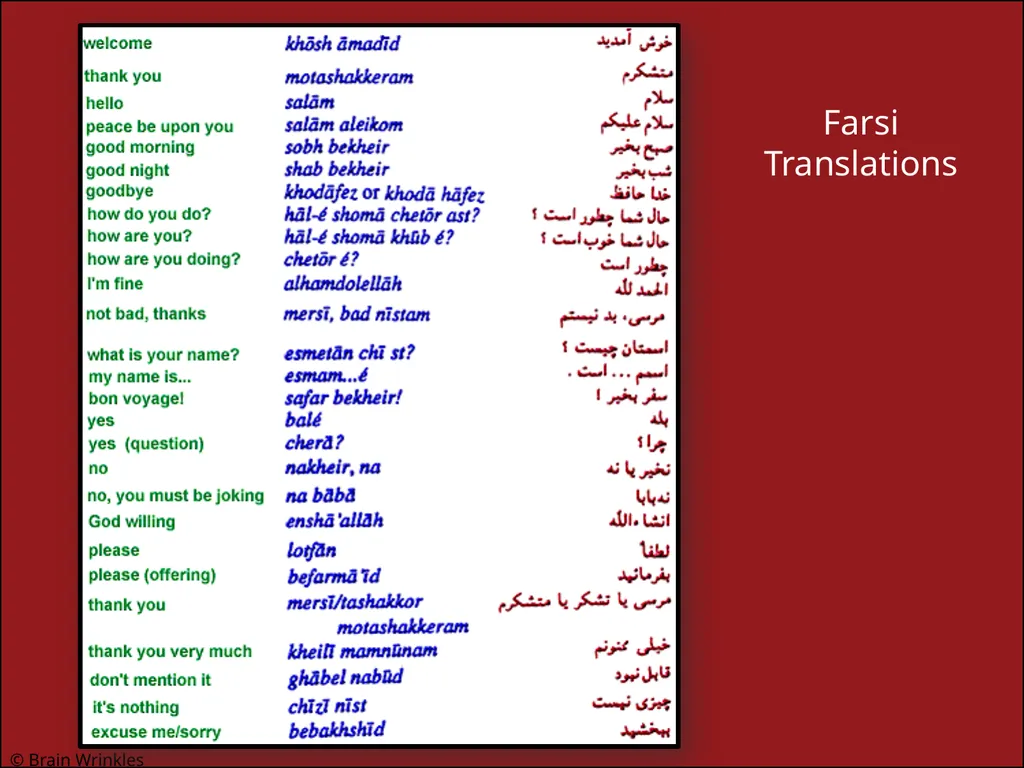 ETHNIC GROUPS Presentation, Graphic Organizers, & - slide 34 of 50