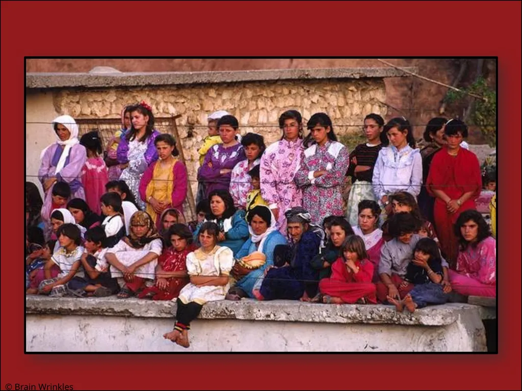 ETHNIC GROUPS Presentation, Graphic Organizers, & - slide 44 of 50