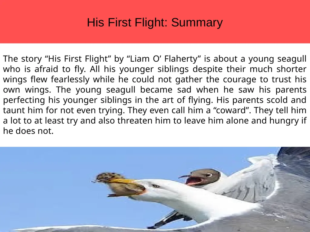 Theme His First Flight: Introduction The story by - slide 6 of 18