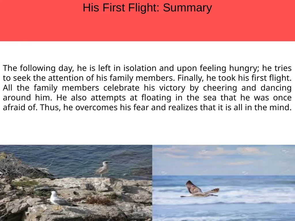 Theme His First Flight: Introduction The story by - slide 7 of 18