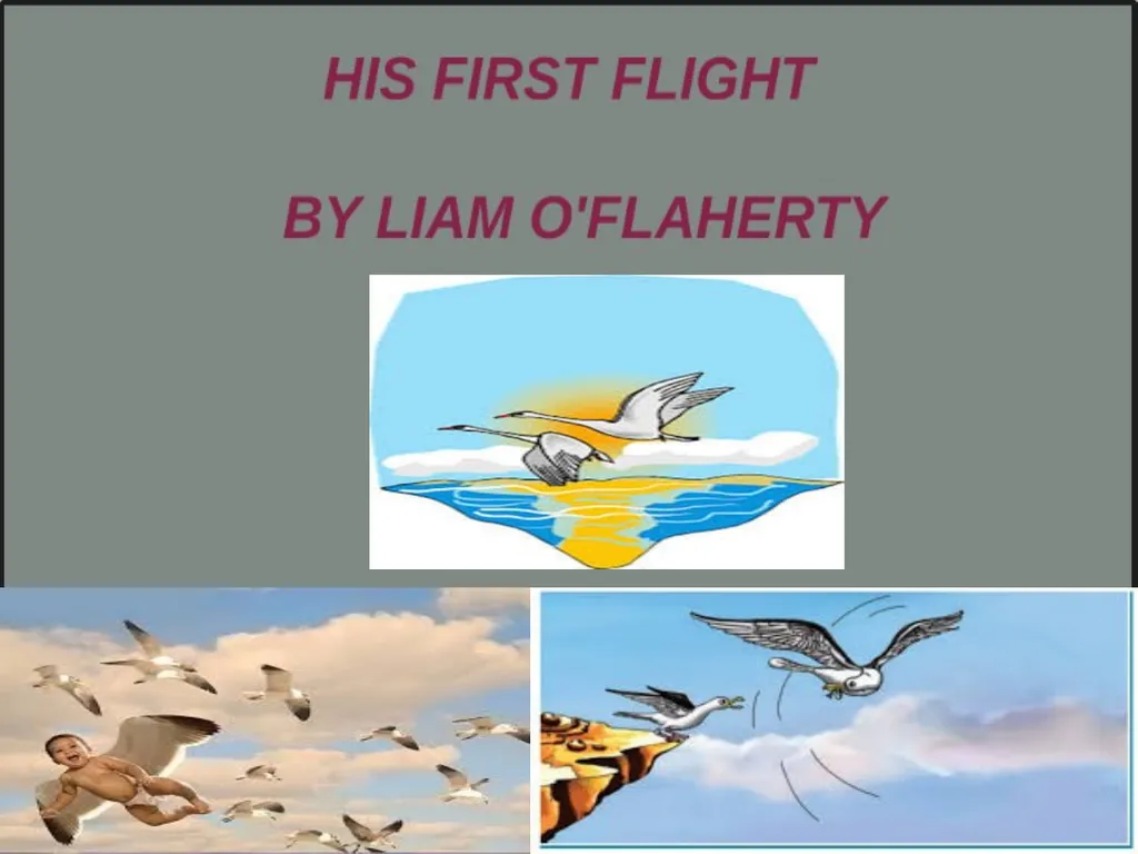 Theme His First Flight: Introduction The story by - slide 2 of 18