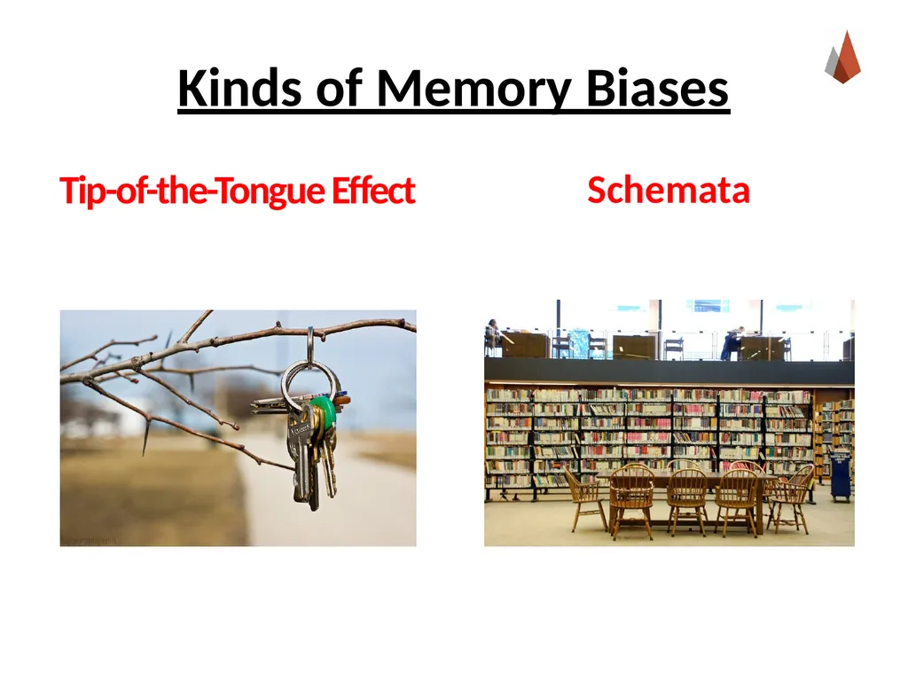 Eyewitness Testimony [Instructor Name] [Class and - slide 13 of 19