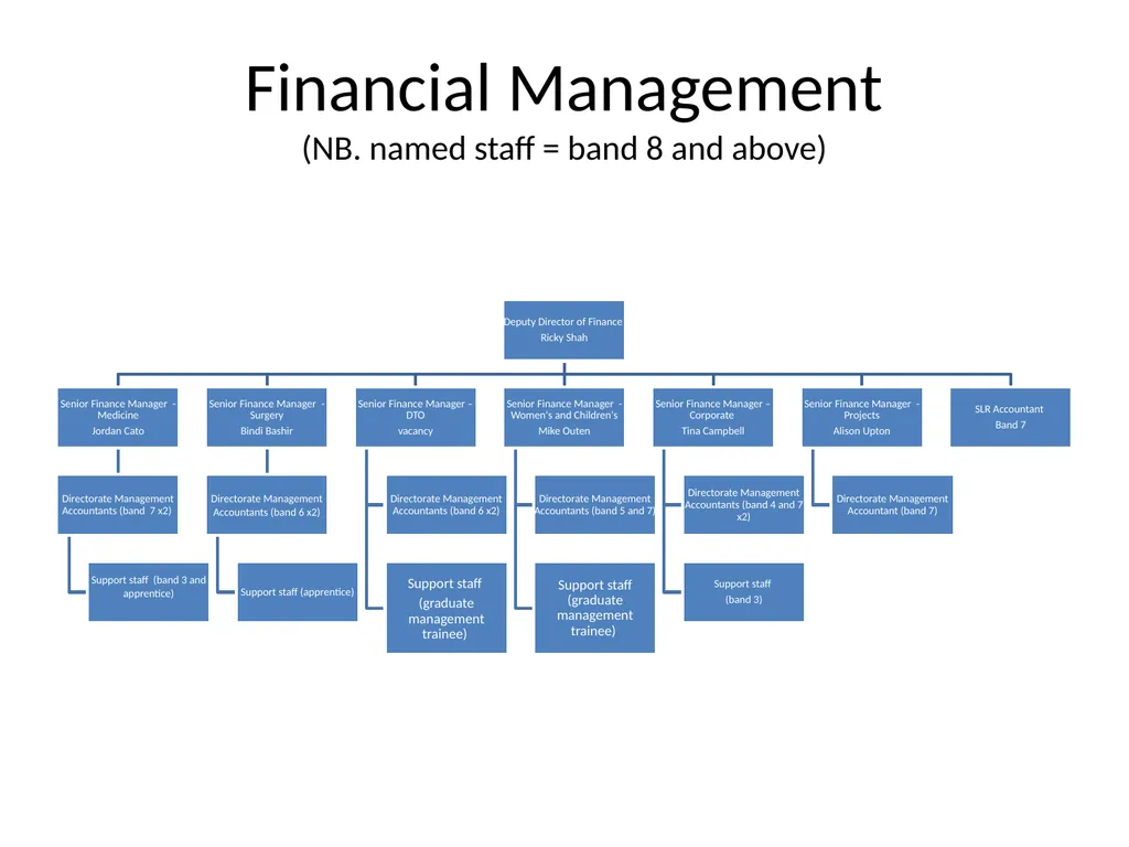 Finance Structure Bedfordshire Hospitals NHS - slide 3 of 6