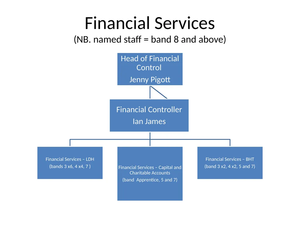 Finance Structure Bedfordshire Hospitals NHS - slide 4 of 6