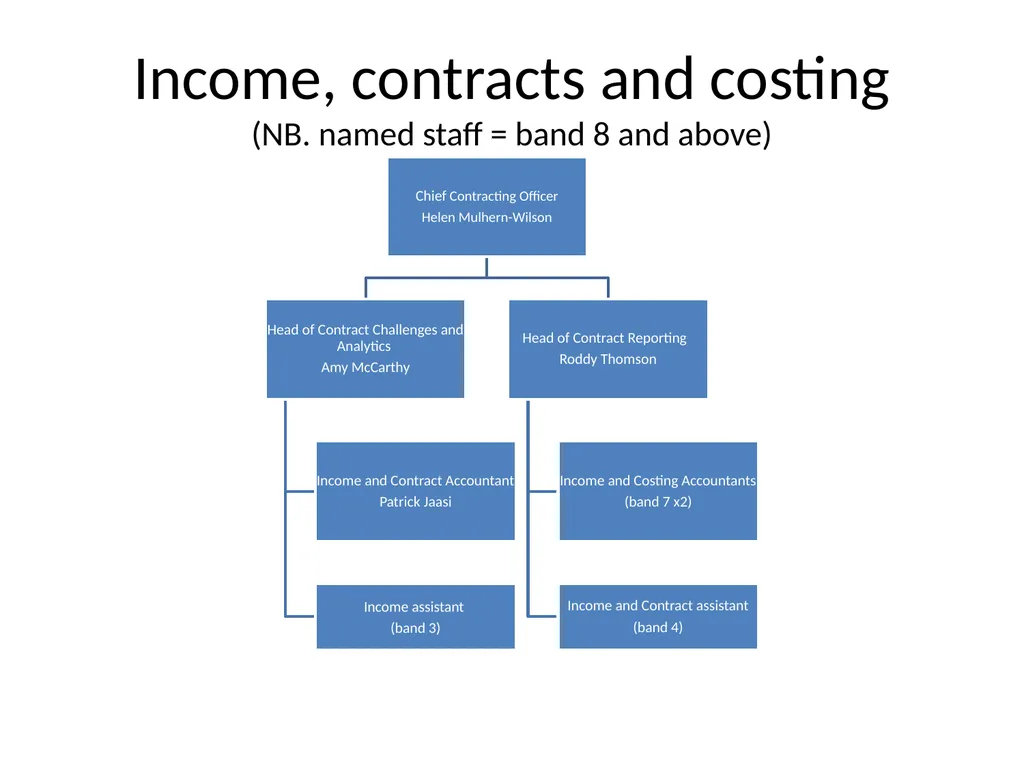 Finance Structure Bedfordshire Hospitals NHS - slide 5 of 6