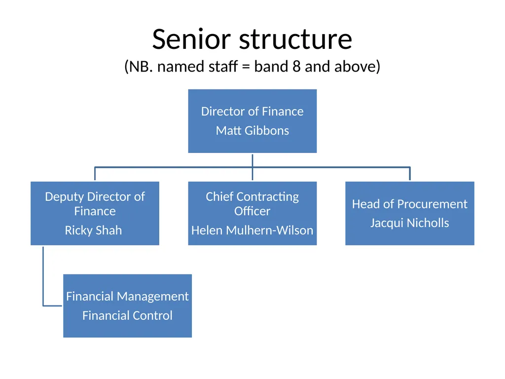 Finance Structure Bedfordshire Hospitals NHS - slide 2 of 6