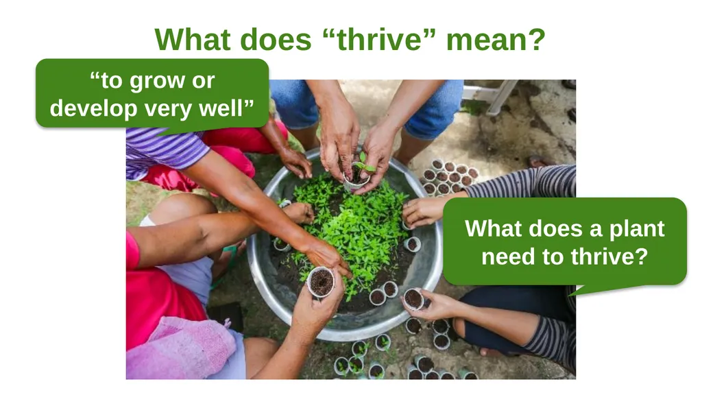 Classroom activities for ages 8–14 Explore the - slide 4 of 24