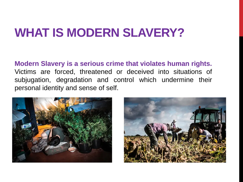 Modern Slavery – General awareness information for - slide 3 of 35