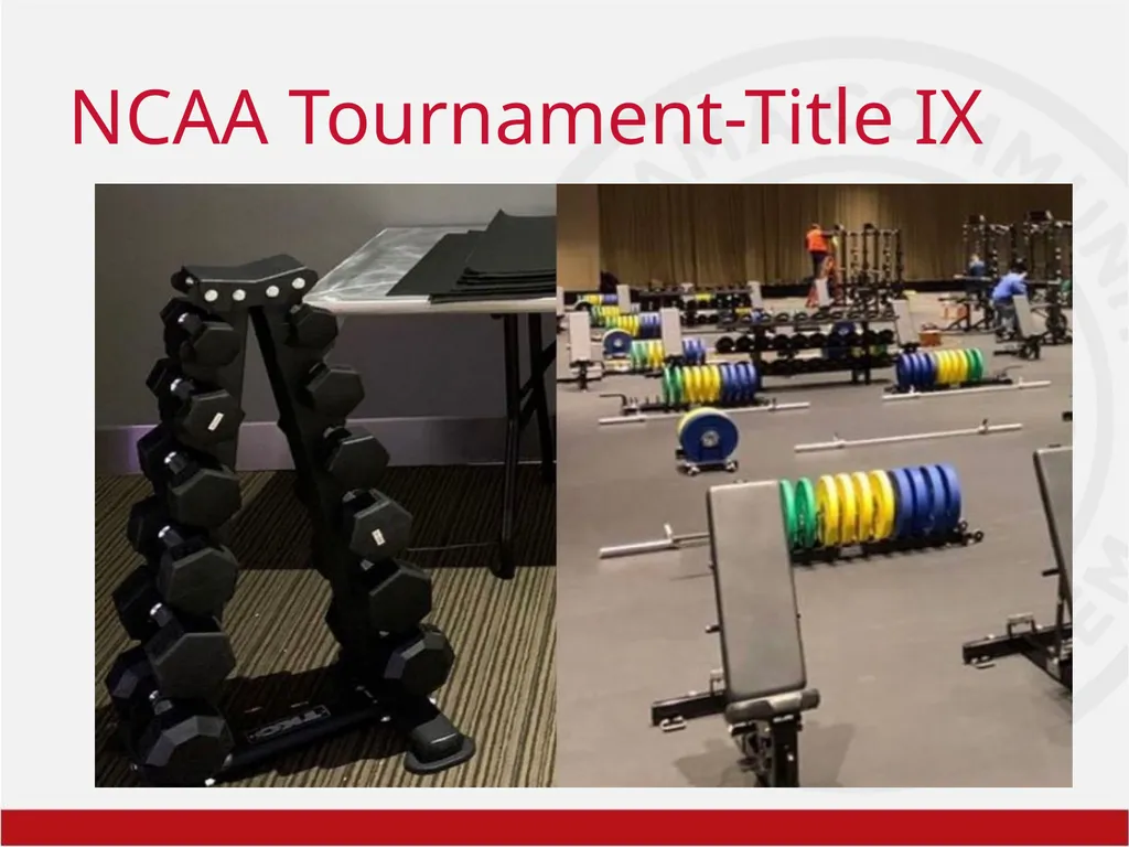 Title IX Training Overview Shawra Rainer- Student - slide 11 of 51