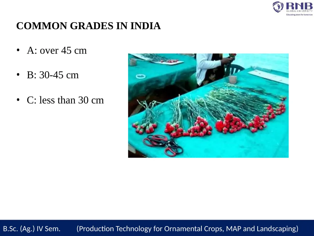 Course Name- Production Technology for Ornamental - slide 19 of 27
