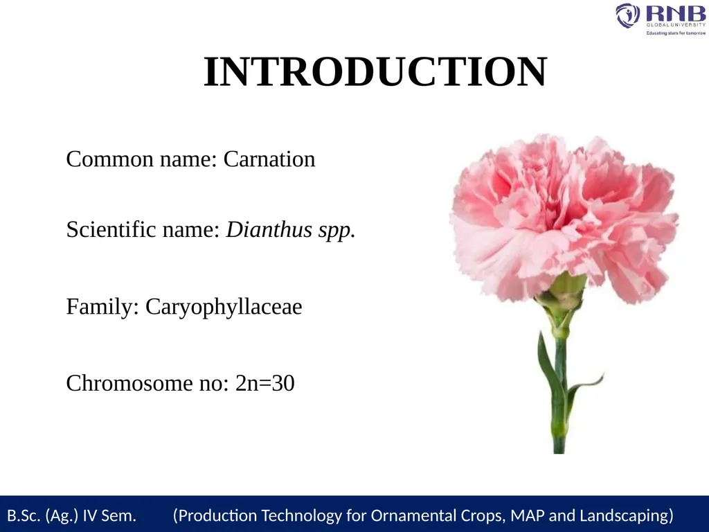 Course Name- Production Technology for Ornamental - slide 4 of 27
