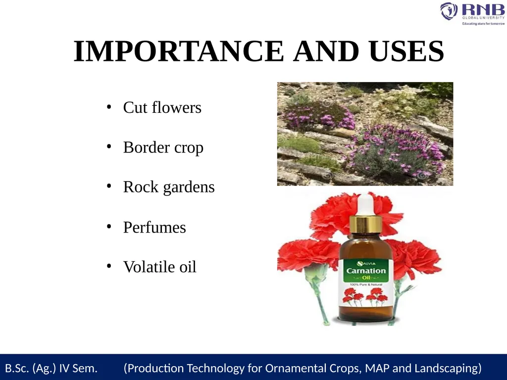 Course Name- Production Technology for Ornamental - slide 5 of 27
