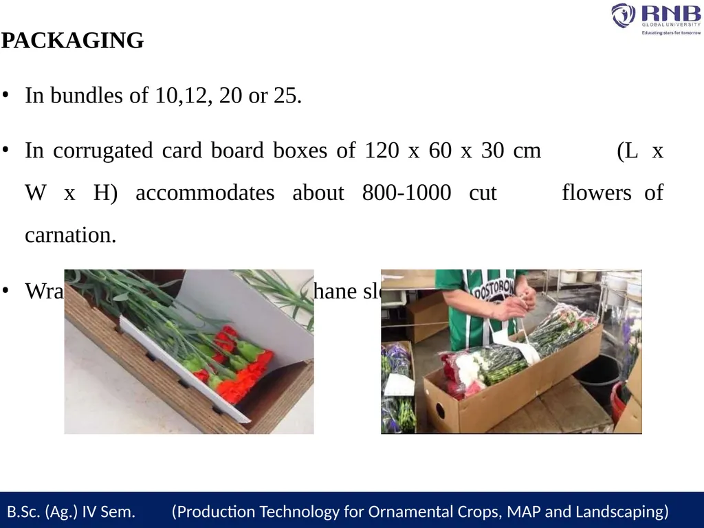 Course Name- Production Technology for Ornamental - slide 20 of 27