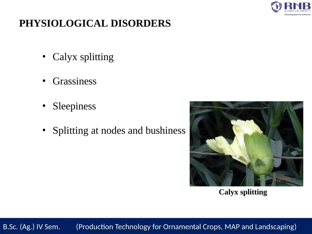 Course Name- Production Technology for Ornamental - slide 24 of 27