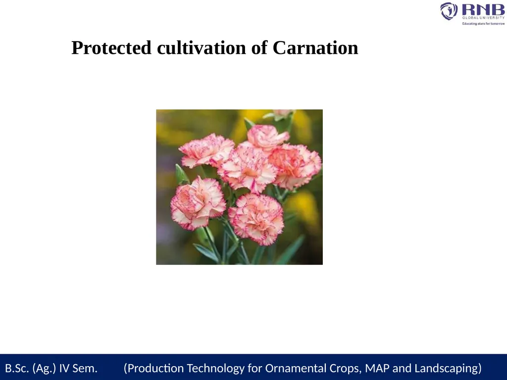 Course Name- Production Technology for Ornamental - slide 3 of 27
