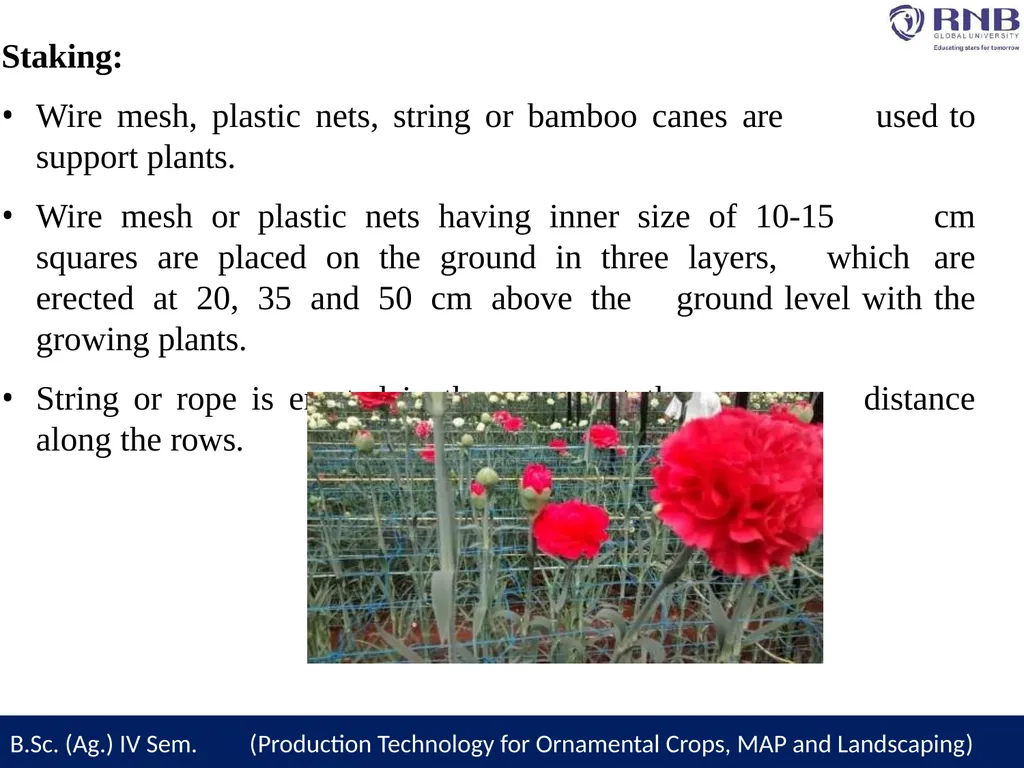 Course Name- Production Technology for Ornamental - slide 15 of 27